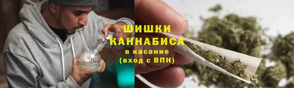 гидра Богородск