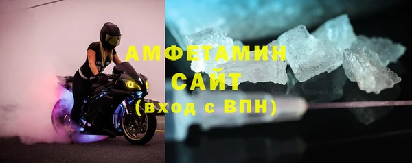 гидра Богородск