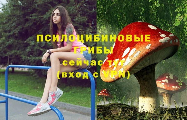 альфа пвп Богданович