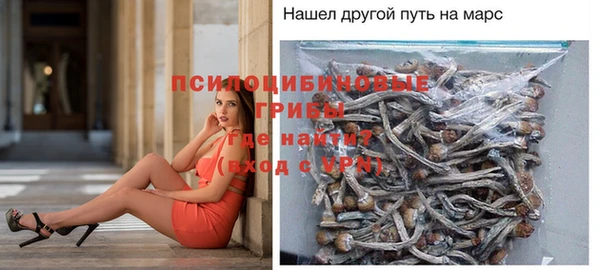 ECSTASY Белоозёрский