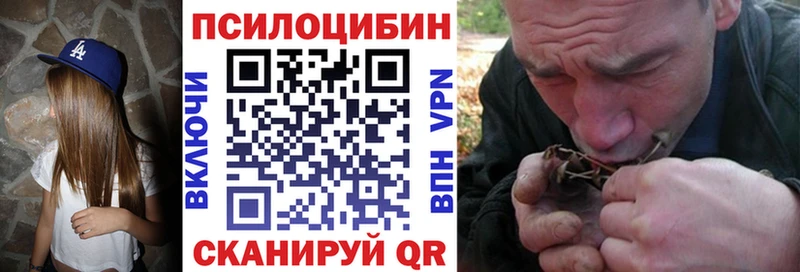 сколько стоит  MEGA как зайти  Псилоцибиновые грибы прущие грибы  Чишмы 